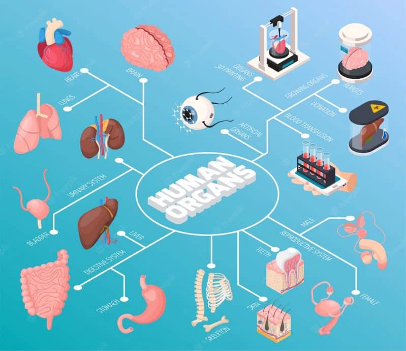 What is 3D Imaging and How Does it Work? - Artificial Intelligence