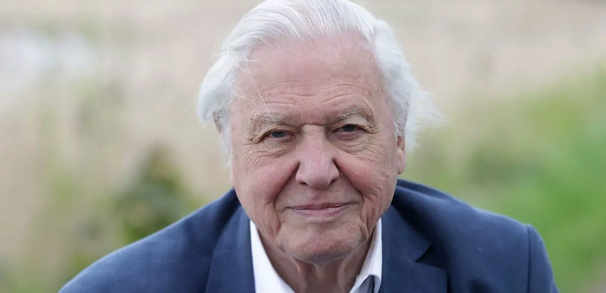 David Attenborough AI Clones Spark Outrage